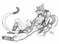 Bas-Pup-kitty.jpg